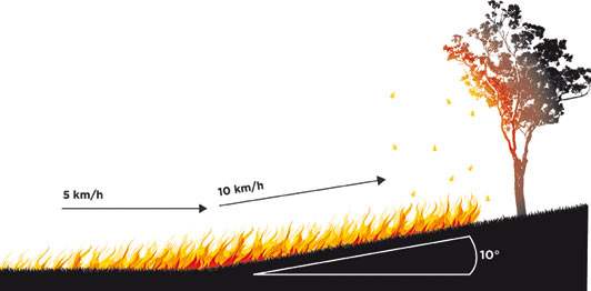 upload slope of fire behaviour